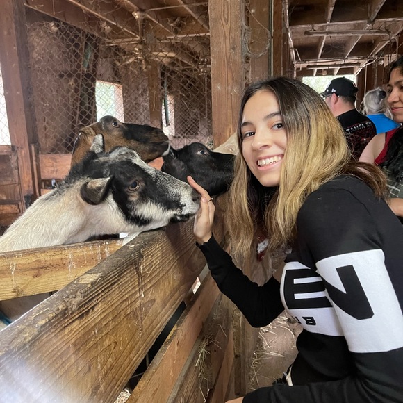 πBcB generation Moto leather Bootsπ - Picture 6 of 16